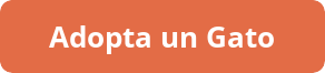 button_adopta-un-gato