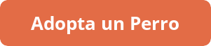 button_adopta-un-perro