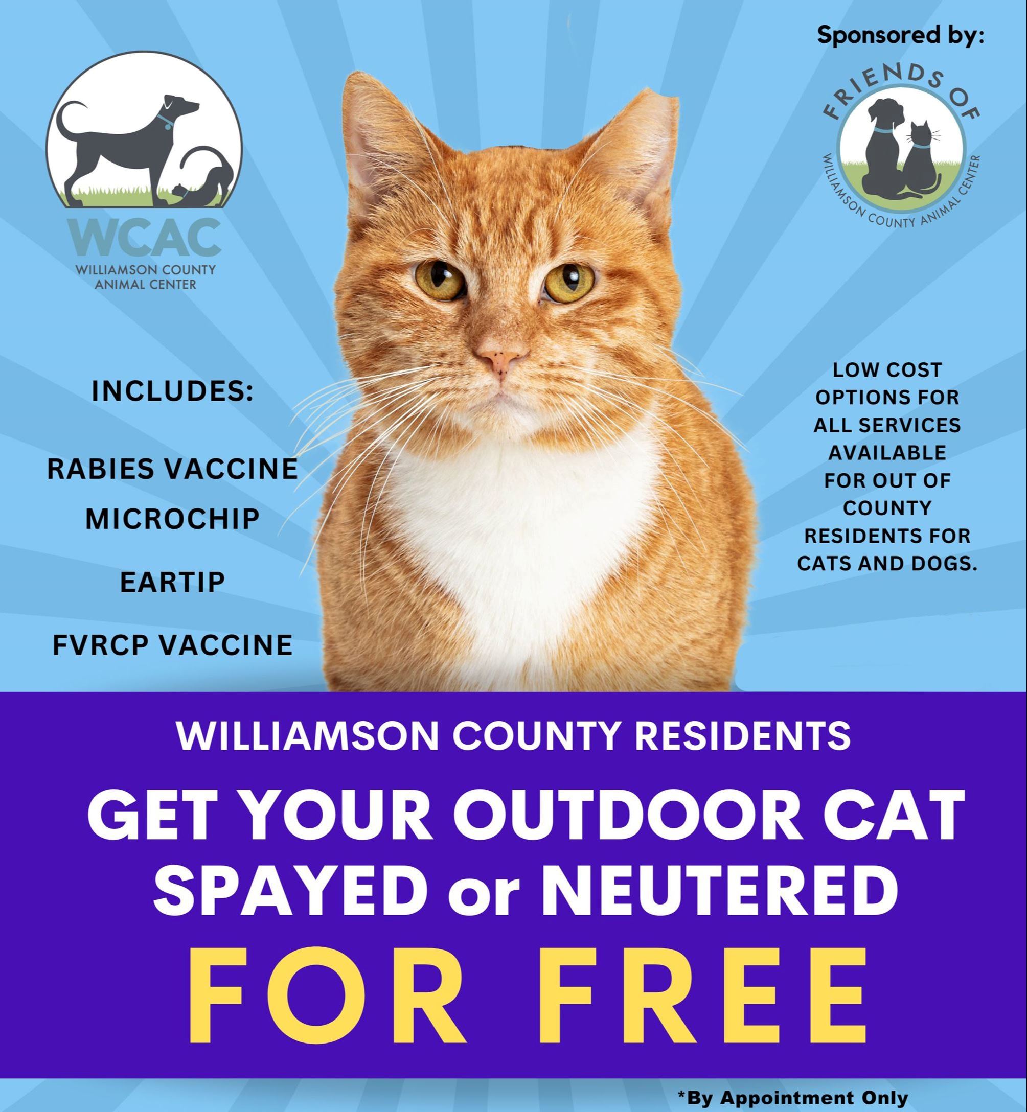 GET YOUR CAT SPAYED or NEUTERED